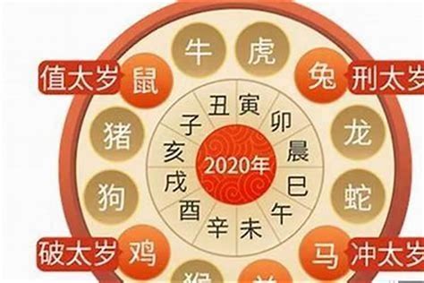 生肖虎2023|2023年属虎不同年龄运势分析及每月运程详解大全(收藏完整版)